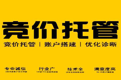 SEM账户托管助力企业增长案例